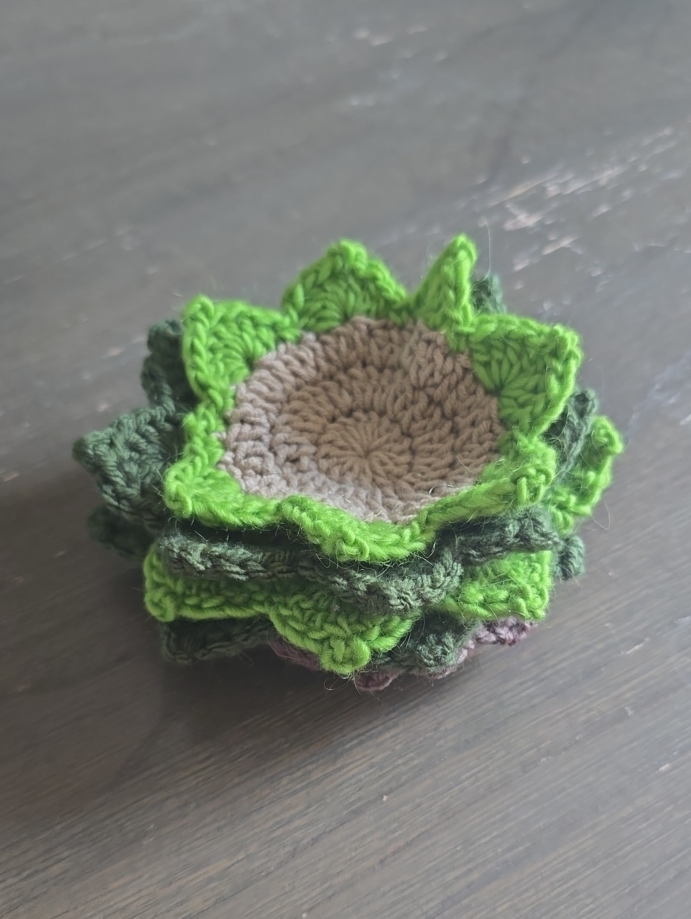 Handmade Crochet Succulent Coasters in Bright Green and Olive